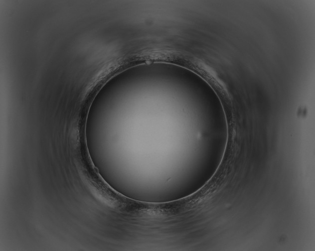 X0000091660250200708301444