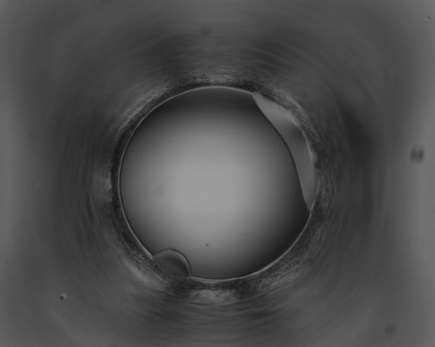 X0000091660251200708301444