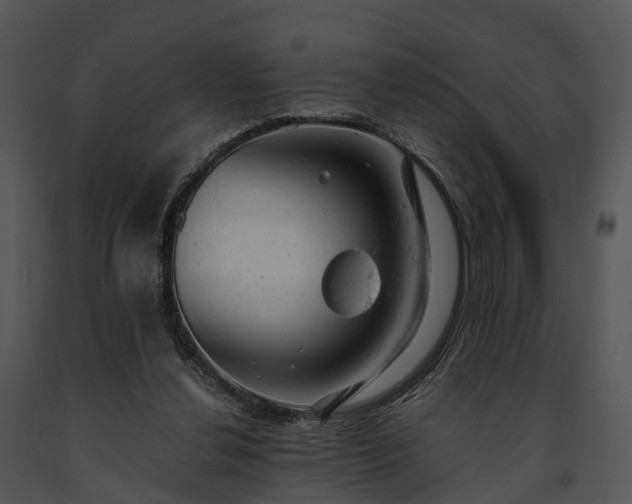 X0000091660252200708301444