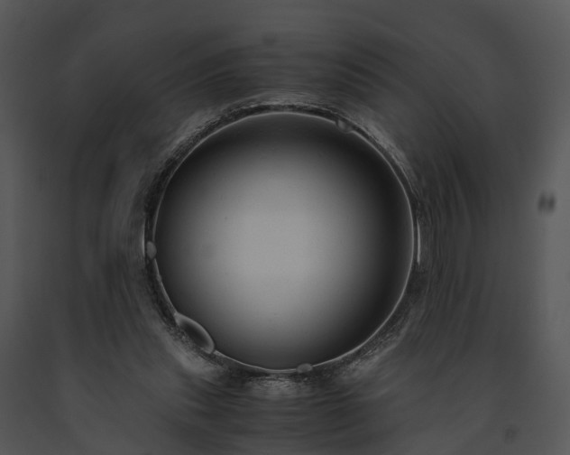 X0000091660253200708301444