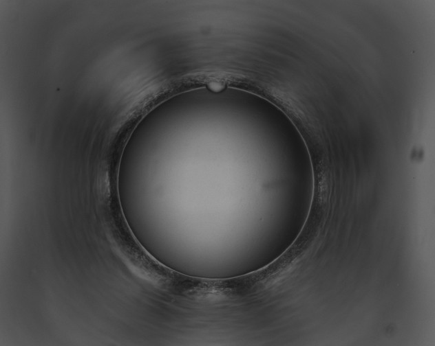 X0000091660254200708301444