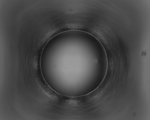 X0000091660255200708301444