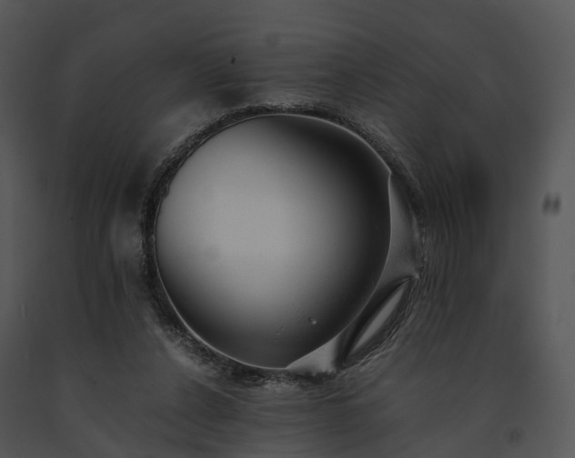 X0000091660256200708301444