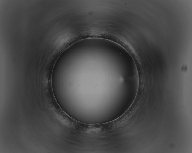 X0000091660257200708301444