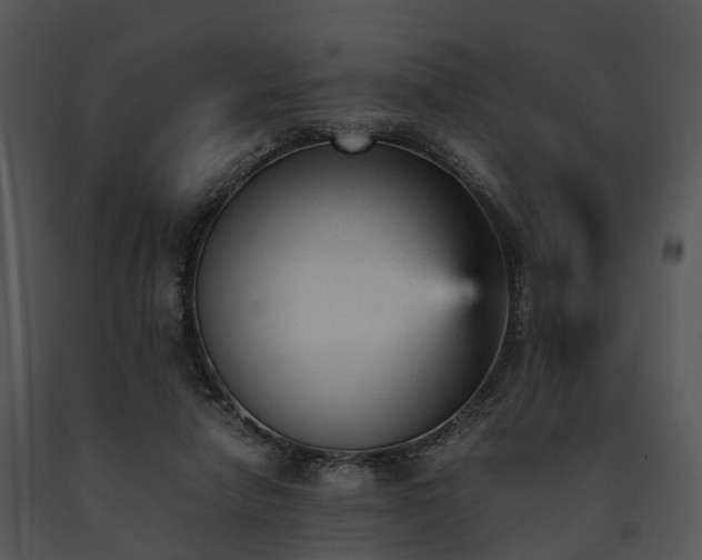 X0000091660258200708301444