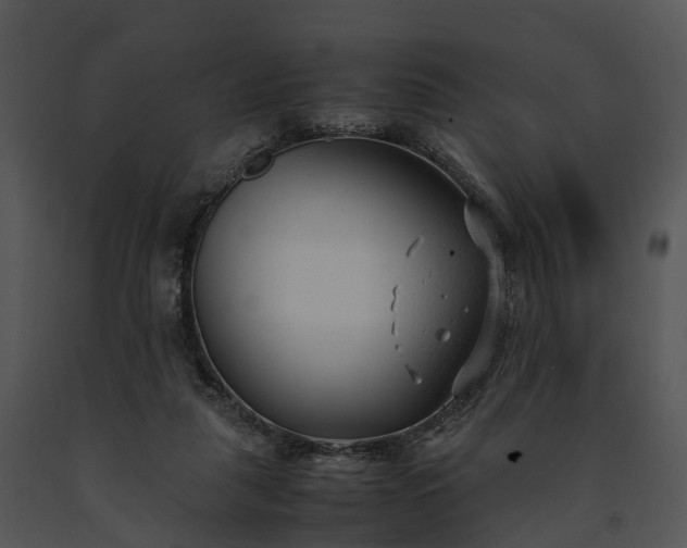 X0000091660259200708301444