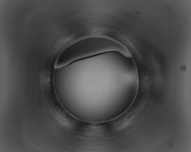 X0000091660260200708301444