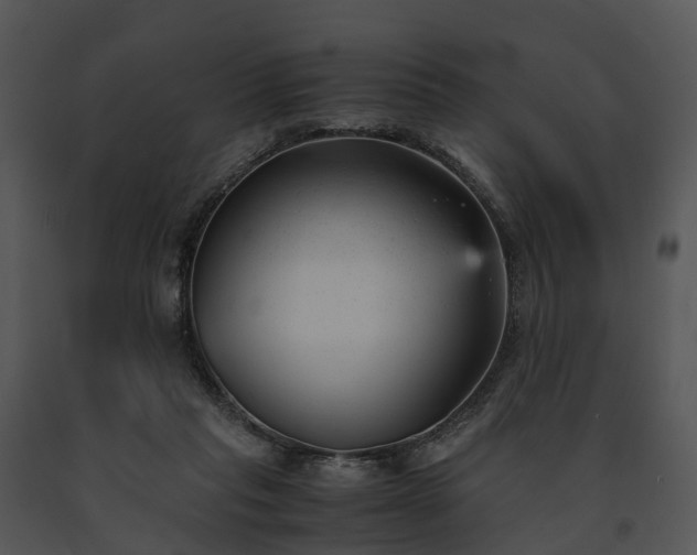 X0000091660261200708301444