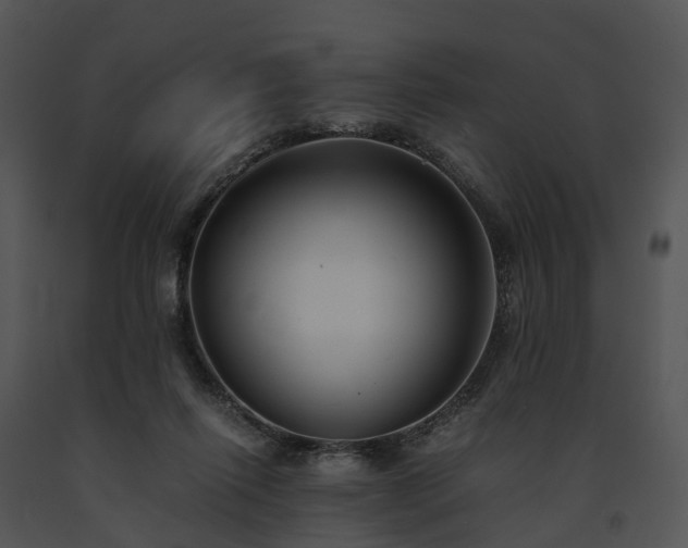 X0000091660262200708301444