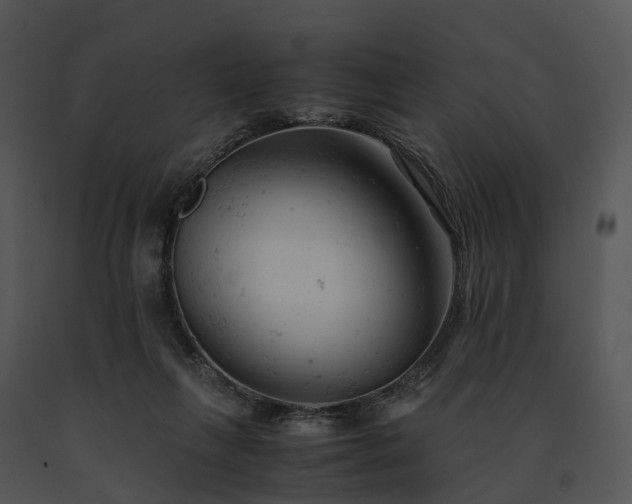 X0000091660263200708301444