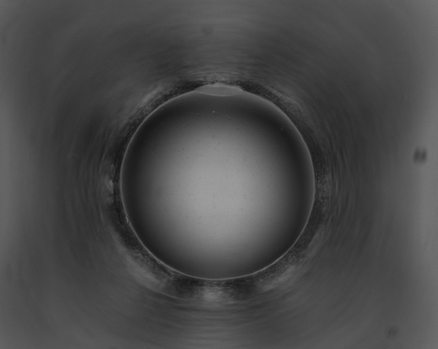 X0000091660264200708301444