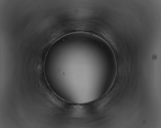 X0000091660265200708301444