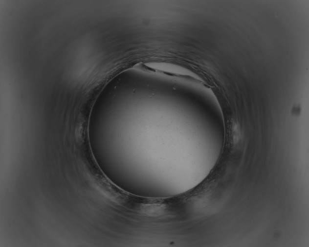 X0000091660266200708301444