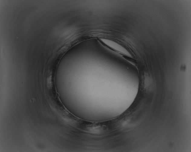 X0000091660267200708301444