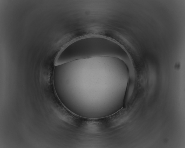 X0000091660268200708301444