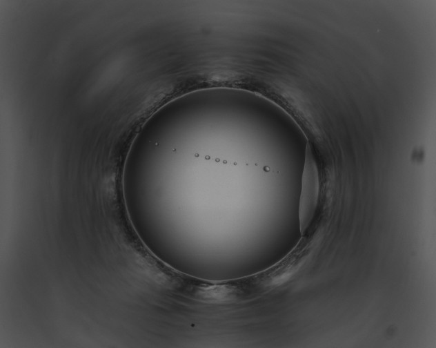 X0000091660269200708301445