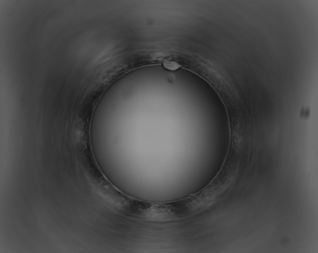 X0000091660270200708301445