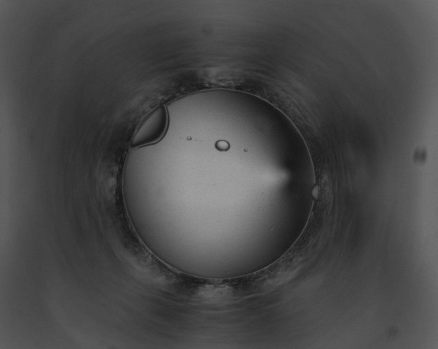 X0000091660271200708301445