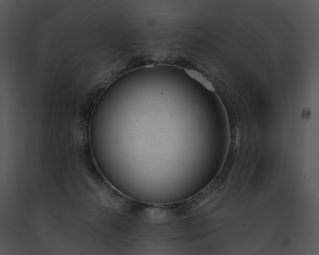 X0000091660272200708301445