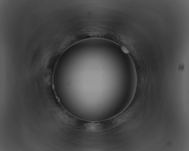 X0000091660273200708301445