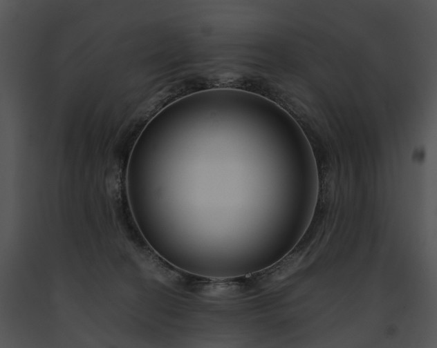 X0000091660274200708301445