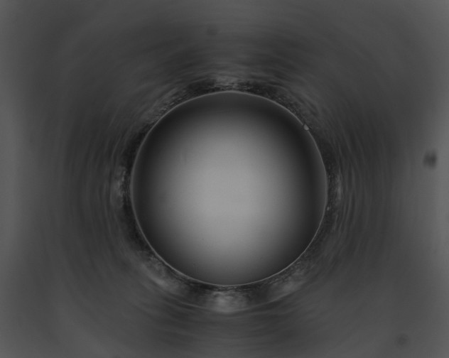 X0000091660275200708301445