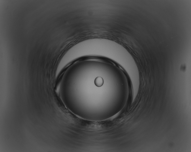 X0000091660276200708301445