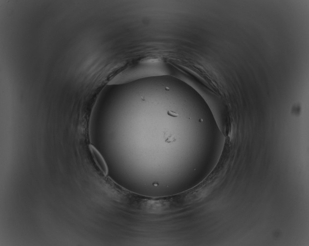 X0000091660277200708301445