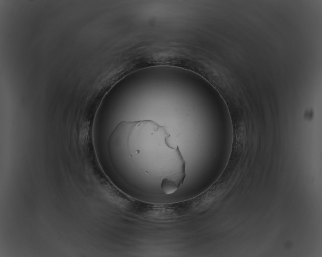 X0000091660278200708301445