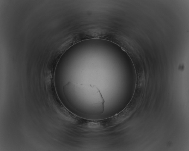 X0000091660279200708301445