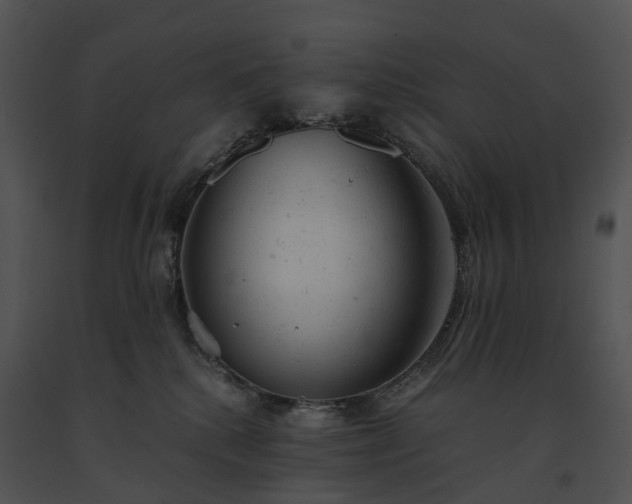 X0000091660280200708301445