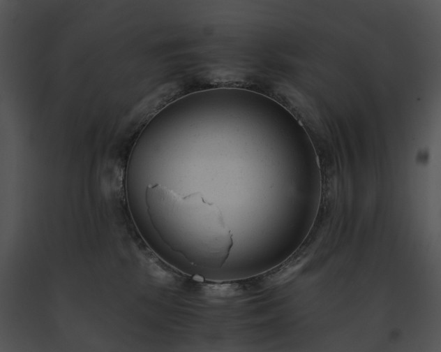 X0000091660281200708301445