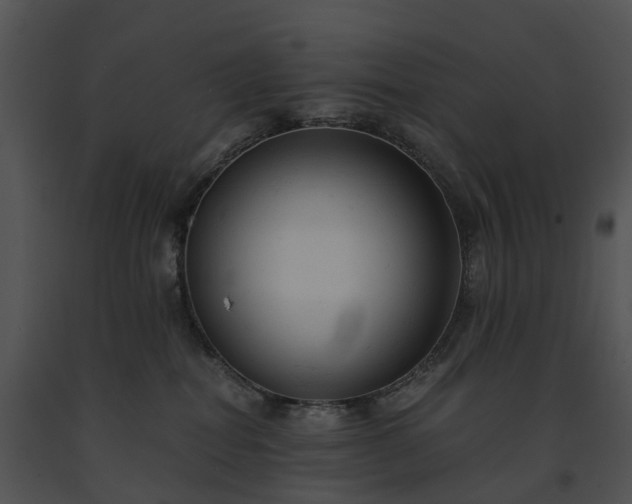 X0000091660282200708301445