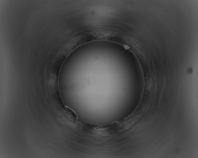 X0000091660283200708301445