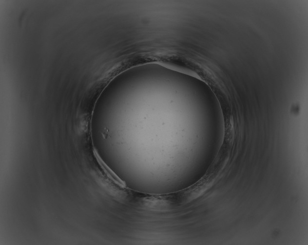 X0000091660284200708301445