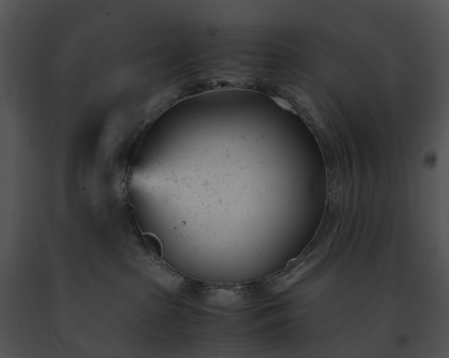 X0000091660285200708301445