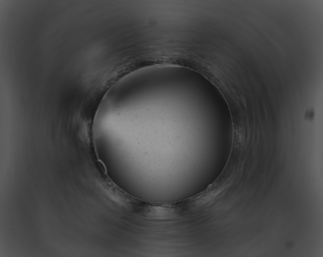 X0000091660286200708301445