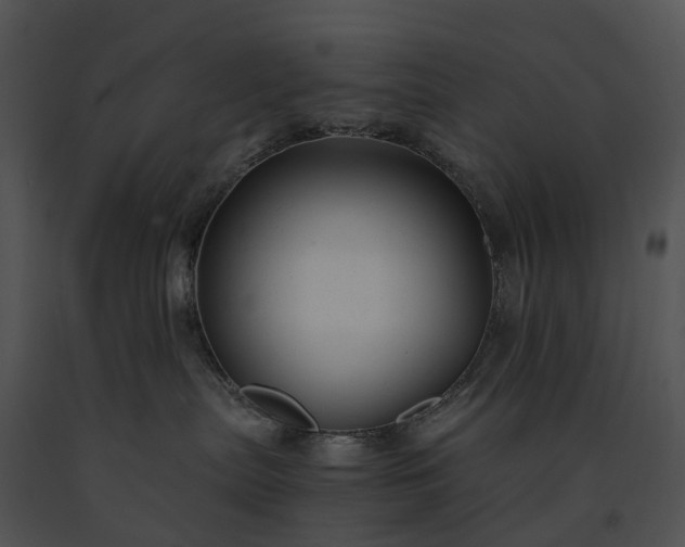 X0000091660287200708301445