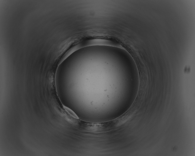 X0000091660288200708301445