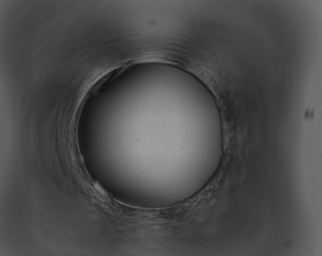 X0000091660289200708301444