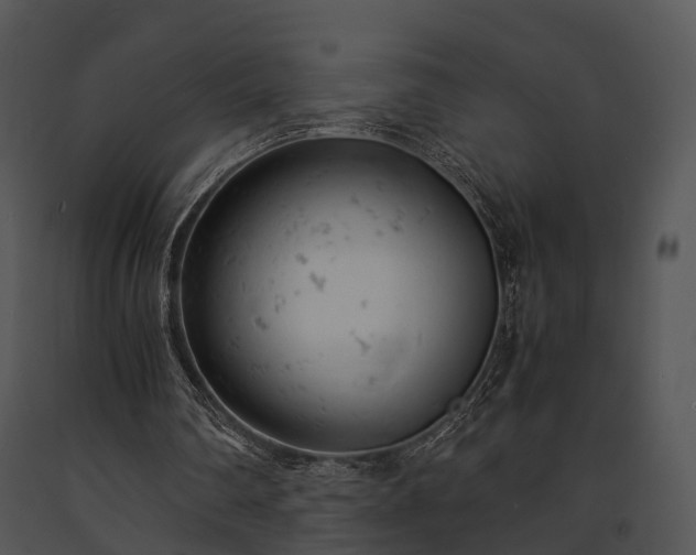 X0000091660290200708301444