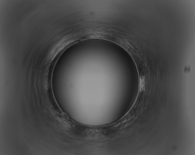 X0000091660291200708301444