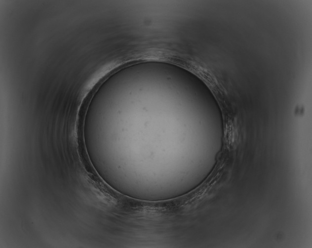 X0000091660292200708301444