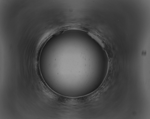 X0000091660293200708301444