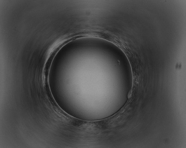 X0000091660294200708301444