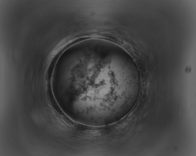 X0000091660295200708301444