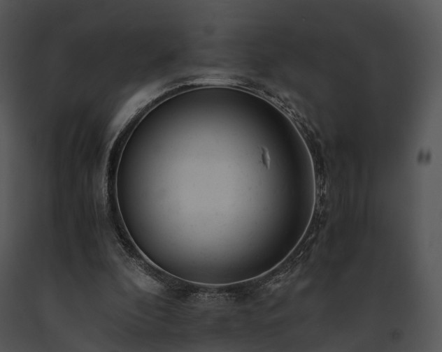 X0000091660296200708301444