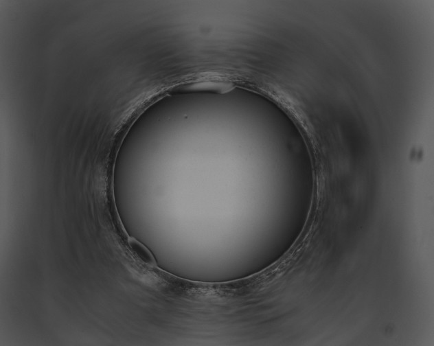 X0000091660297200708301444