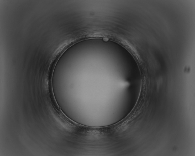 X0000091660298200708301444