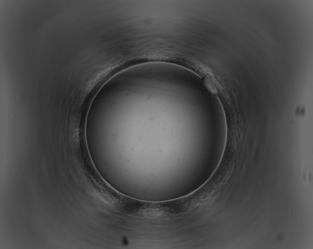 X0000091660299200708301444